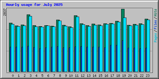 Hourly usage for July 2025