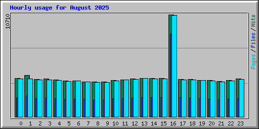 Hourly usage for August 2025